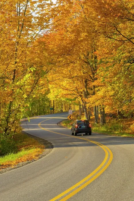 Framed Print : Road through fores in the fall, Woodstock, Vermont, USA