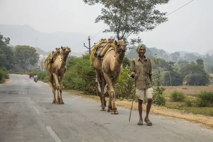 Framed Print : Road to Udaipur from Kumbhalgarh, Rajasthan, India Framed Print : Road to Udaipur from Kumbhalgarh, Rajasthan, India