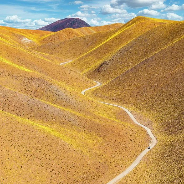 Framed Print : Road winding among yellow hills, Vega de los Colorados, Puna, Catamarca, Argentina Framed Print : Road winding among yellow hills, Vega de los Colorados, Puna, Catamarca, Argentina