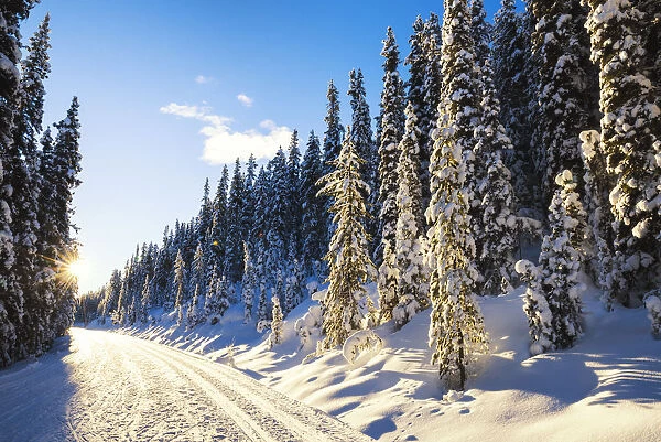 Road in Winter, Banff National Park, Alberta, Canada