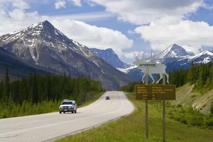 Framed Print : Road, Yoho National Park, British Columbia, Canada Framed Print : Road, Yoho National Park, British Columbia, Canada