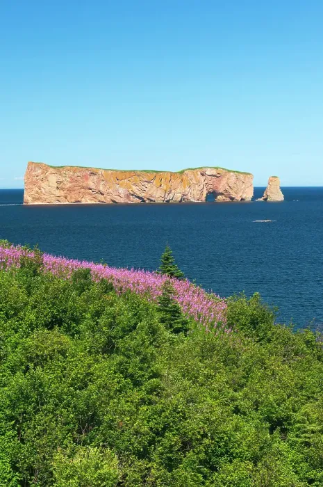 Framed Print : Rocher-Perce (Perce Rock) in the Gulf of St. Lawrence (Atlantic Ocean) and fireweed along the coastline Parc national de l'Ile-Bonaventure-et-du-Rocher-Perce, Quebec, Canada Framed Print : Rocher-Perce (Perce Rock) in the Gulf of St. Lawrence (Atlantic Ocean) and fireweed along the coastline Parc national de l'Ile-Bonaventure-et-du-Rocher-Perce, Quebec, Canada