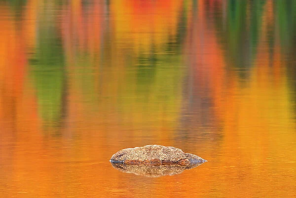 Rock and autumn colors reflected in Lac Wapizagonke. Great Lakes - St. Lawrence Forest Region. La Mauricie National Park, Quebec, Canada