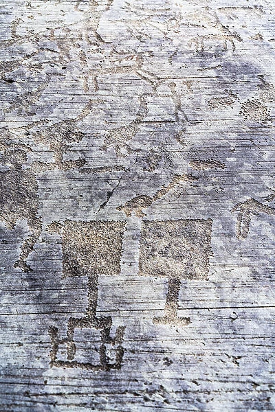 Rock drawings of human figures and palette (shovel), Naquane National Park, Capo di Ponte
