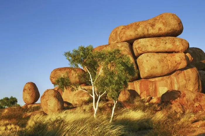 Framed Print : Rock formation at Devils Marbles with eucalyptus tree - Australia, Northern Territory Framed Print : Rock formation at Devils Marbles with eucalyptus tree - Australia, Northern Territory