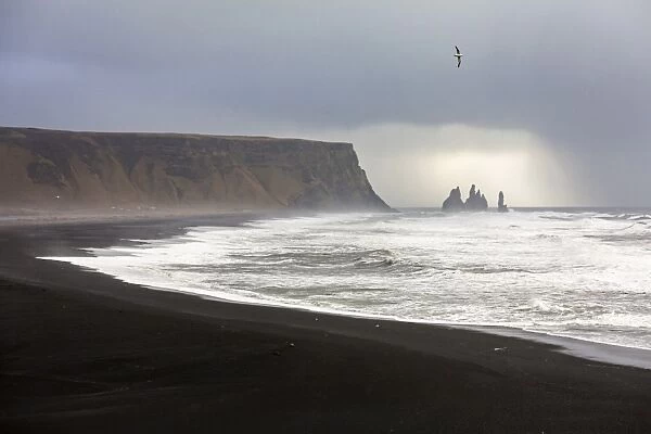 Rock formations at the beach of Reynisfjara, Vik, Sudurland, Iceland, Europe