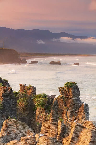 Rock formations called Pancake Roacks at Punakaiki West Coast, South Island, New Zealand