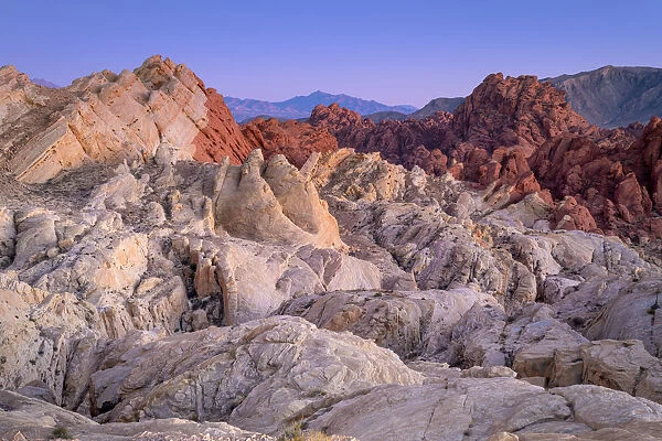 Rock formations at Fire Canyon and Silica Dome at dawn, Valley of Fire State Park, Nevada