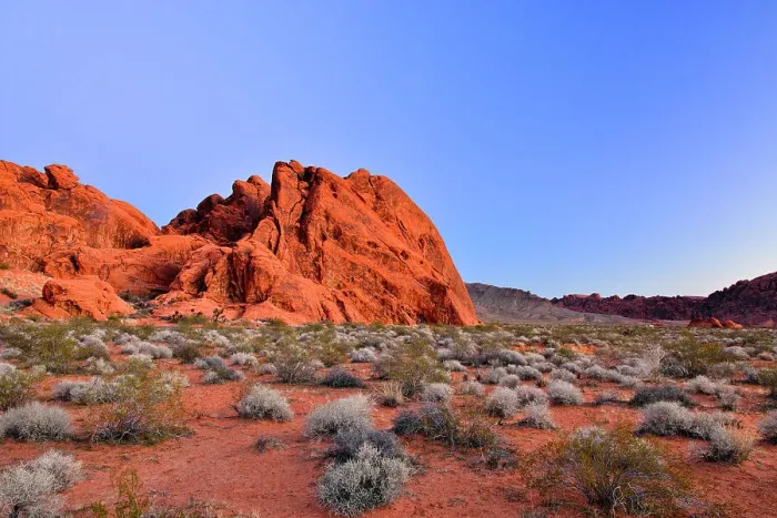 Framed Print : Rock formations and Mojave desert scrub community, Valley of Fire State Park, Nevada, USA Framed Print : Rock formations and Mojave desert scrub community, Valley of Fire State Park, Nevada, USA