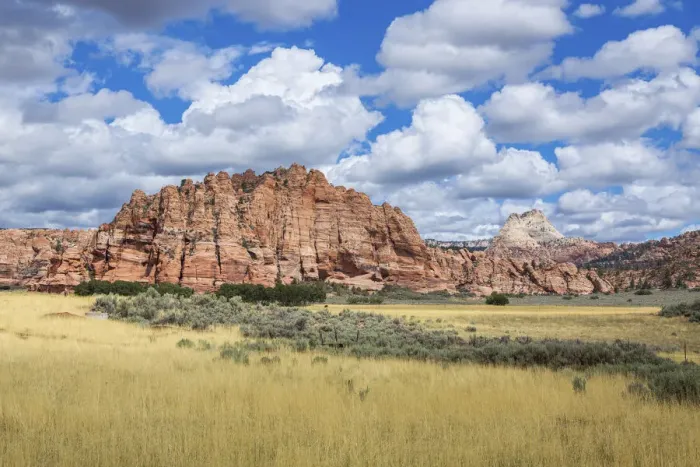 Framed Print : Rock formations, Zion nationl park, Utah, USA
