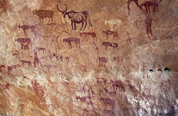 Rock painting depicting domestic cattle in the Jebel