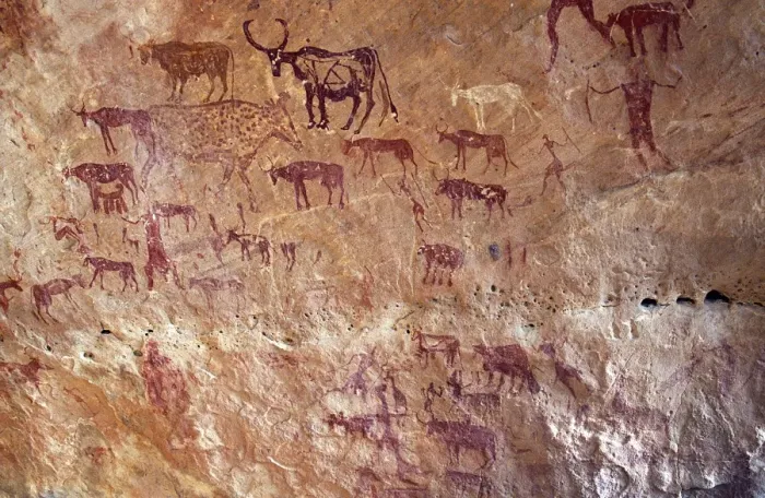 Framed Print : Rock painting depicting domestic cattle in the Jebel Framed Print : Rock painting depicting domestic cattle in the Jebel