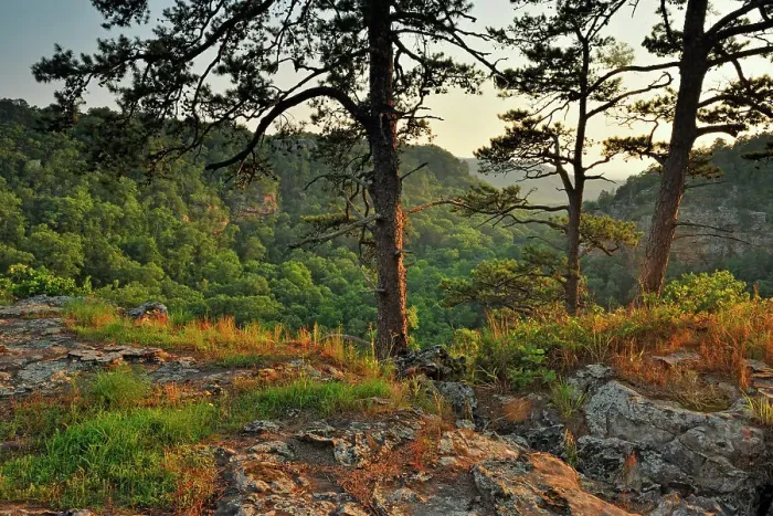 Framed Print : Rocks and forest overlooking Cedar Creek Canyon, Petit Jean State Park, Arkansas, USA Framed Print : Rocks and forest overlooking Cedar Creek Canyon, Petit Jean State Park, Arkansas, USA