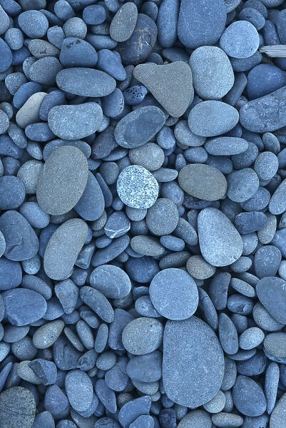 Rocks and pebbles at Rialto Beach, Olympic National Park, Clallam County, Washington, USA