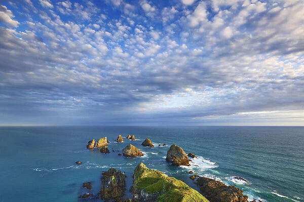 Rocky coast - New Zealand, South Island, Otago, Clutha, Catlins, Nugget Point