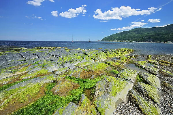 Rocky coastline along the Gulf of St. Lawrence Mont-Louis Quebec, Canada