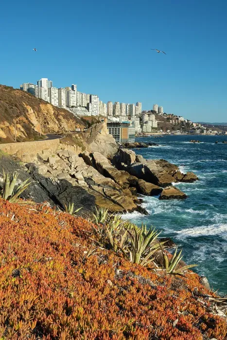Framed Print : Rocky coastline by Roca Oceanica with distant view of residential high-rise buildings in Renaca, Concon, Valparaiso Province, Valparaiso Region, Chile Framed Print : Rocky coastline by Roca Oceanica with distant view of residential high-rise buildings in Renaca, Concon, Valparaiso Province, Valparaiso Region, Chile