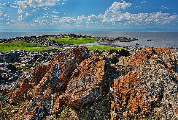 Rocky shoreline along the St. Lawrence River Saint-Roch-des-Aulnaies Quebec, Canada
