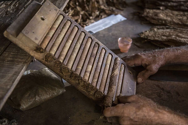 Rolling cigars at the Alejandro Robaina Tobacco Plantation, Pinar del Rio Province, Cuba
