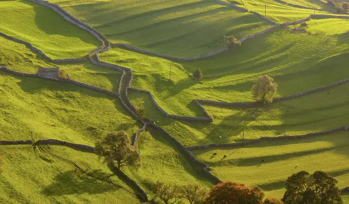 Framed Print : Rolling countryside and dry stone walls near Settle in the Yorkshire Dales National Park, Yorkshire, England. Autumn (October) 2023 Framed Print : Rolling countryside and dry stone walls near Settle in the Yorkshire Dales National Park, Yorkshire, England. Autumn (October) 2023