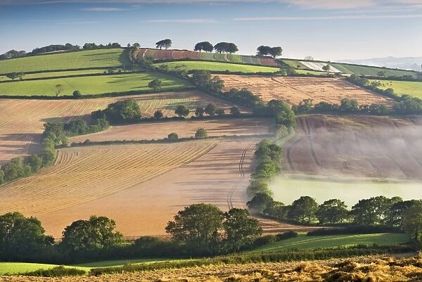 Rolling countryside on a misty morning, mid Devon, England. Autumn (September)