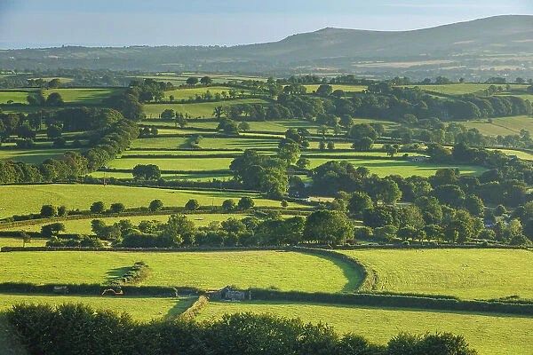 Rolling countryside near Brentor, Dartmoor, England, UK