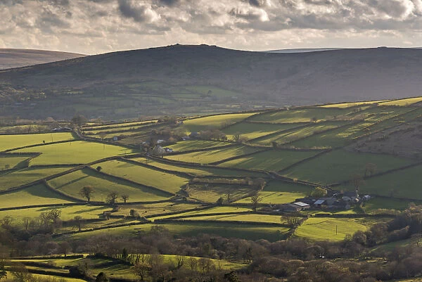 Rolling countryside near Widecombe in the Moor, Dartmoor, Devon, England. Spring