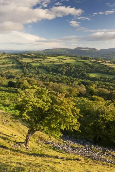 Framed Print : Rolling countryside surrounding the Usk Valley, Brecon Beacons National Park, Powys, Wales Framed Print : Rolling countryside surrounding the Usk Valley, Brecon Beacons National Park, Powys, Wales