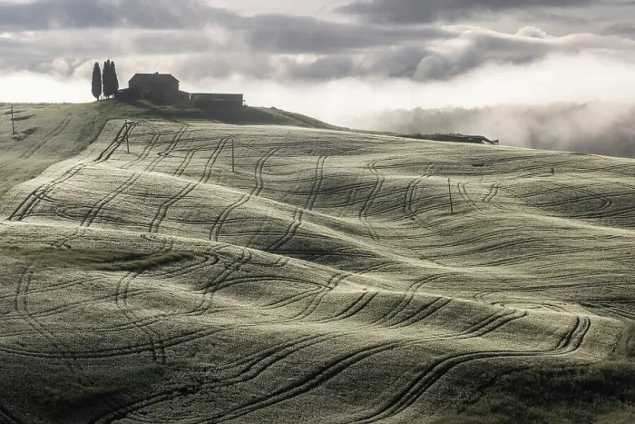 Framed Print : Rolling countryside in the Val D'orcia, Tuscany, Italy Framed Print : Rolling countryside in the Val D'orcia, Tuscany, Italy