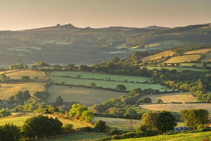 Framed Print : Rolling countryside views to Haytor, Dartmoor National Park, Devon, England. Summer Framed Print : Rolling countryside views to Haytor, Dartmoor National Park, Devon, England. Summer
