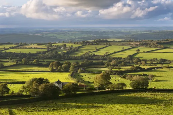 Framed Print : Rolling Dartmoor countryside, Brentor, Devon, England. Autumn (September) Framed Print : Rolling Dartmoor countryside, Brentor, Devon, England. Autumn (September)