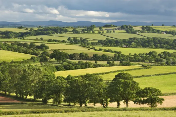 Framed Print : Rolling farmland in summer time, Morchard Bishop, Devon, England. Summer (June) Framed Print : Rolling farmland in summer time, Morchard Bishop, Devon, England. Summer (June)