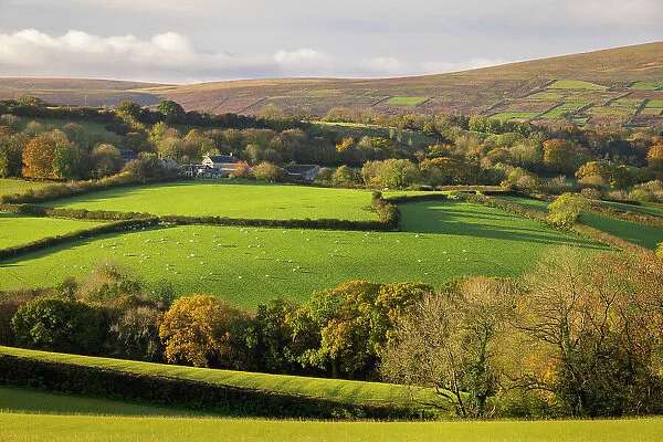 Rolling green countryside on the edge of Dartmoor National Park in Devon, England. Autumn (November) 2023