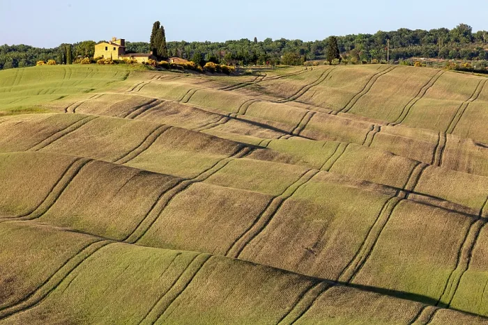 Framed Print : Rolling green fields with tractor lines, near Asciano, Tuscany, Italy Framed Print : Rolling green fields with tractor lines, near Asciano, Tuscany, Italy