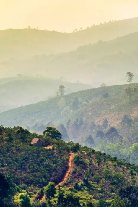 Framed Print : Rolling hills and coffee plantations in Central Highlands, Bao Loc, Lam Dong Province