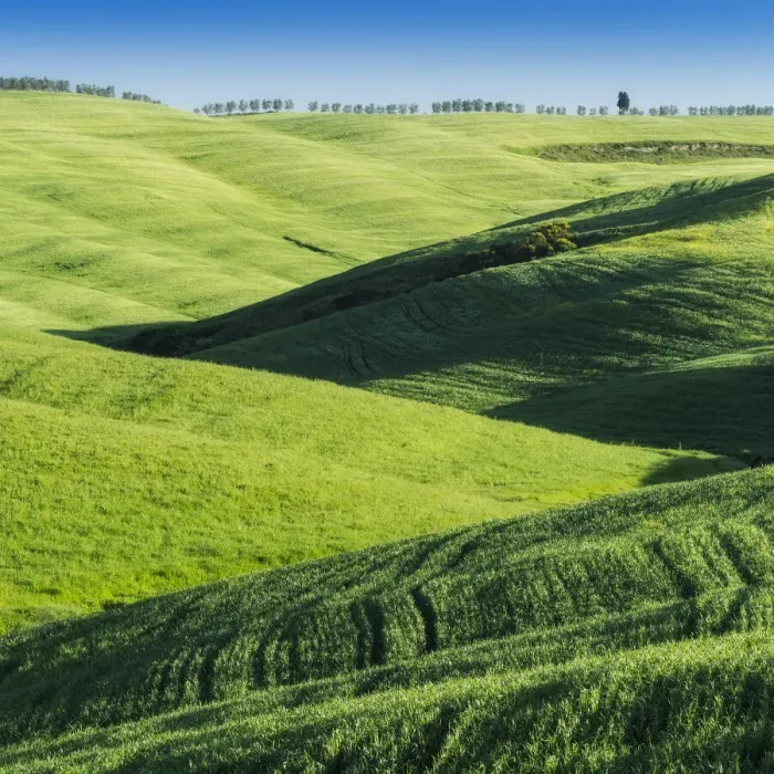 Framed Print : Rolling hills near San Quirico d Orcia, Val d Orcia, Tuscany, Italy Framed Print : Rolling hills near San Quirico d Orcia, Val d Orcia, Tuscany, Italy