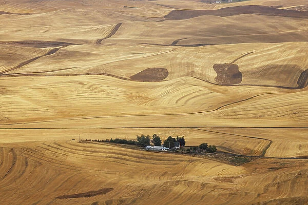 The rolling hills of the Palouse, Washington State, USA
