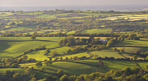 Rolling patchwork countryside, Dartmoor National Park, Devon, England. Spring (May) 2015