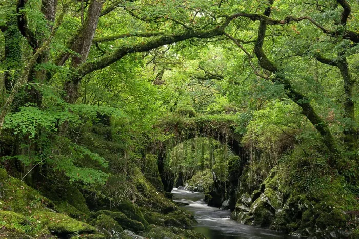 Framed Print : Roman Bridge & woodland near the village of Penmachno near Betws-y-Coed, Snowdonian National Park, Wales, UK. Autumn (October) 2023