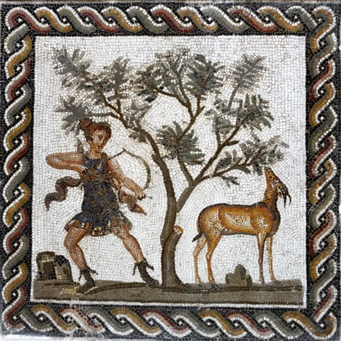 Framed Print : Roman mosaic, Bardo museum, Tunis, Tunisia Framed Print : Roman mosaic, Bardo museum, Tunis, Tunisia