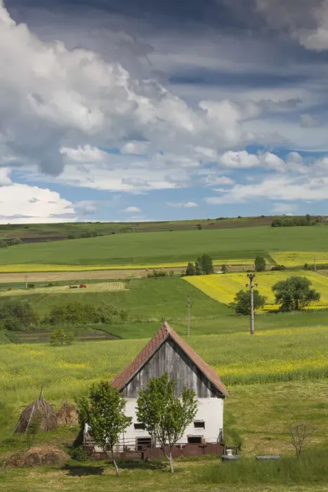 Framed Print : Romania, Transylvania, Tarnaveni, farm and fields, spring Framed Print : Romania, Transylvania, Tarnaveni, farm and fields, spring