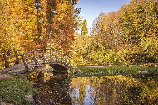 Romantic bridge and pond in the Furstenlager State Park, Bensheim, Southern Hesse, Hesse, Germany