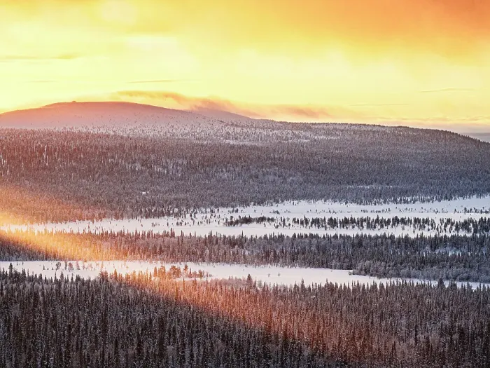 Framed Print : Romantic sunrise over a frozen snowy forest lit by sun rays, Pallas-Yllastunturi National Park, Muonio, Lapland, Finland