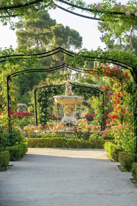 Framed Print : Rose Garden, El Retiro Park, Madrid, Spain Framed Print : Rose Garden, El Retiro Park, Madrid, Spain