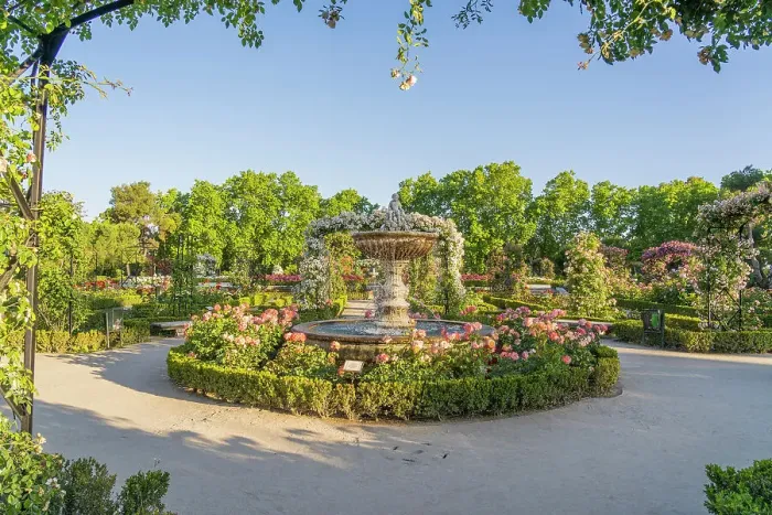 Framed Print : Rose Garden, El Retiro Park, Madrid, Spain Framed Print : Rose Garden, El Retiro Park, Madrid, Spain