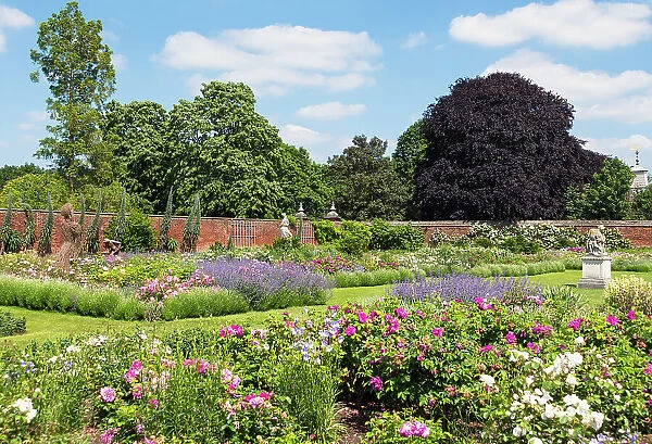 The Rose Garden, Hampton Court Palace, London, England