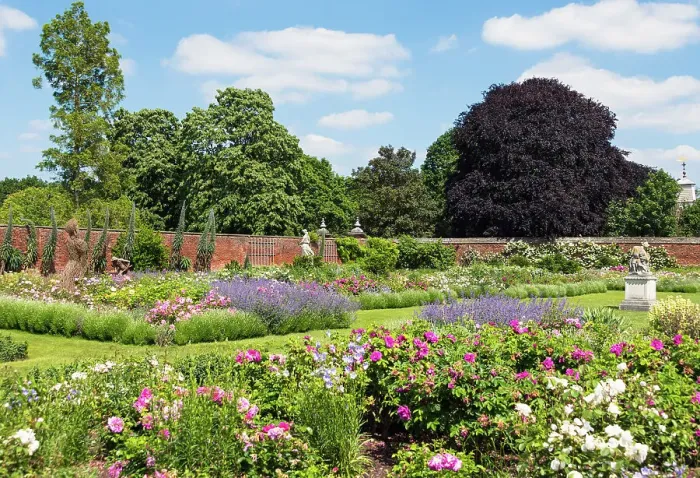 Framed Print : The Rose Garden, Hampton Court Palace, London, England Framed Print : The Rose Garden, Hampton Court Palace, London, England