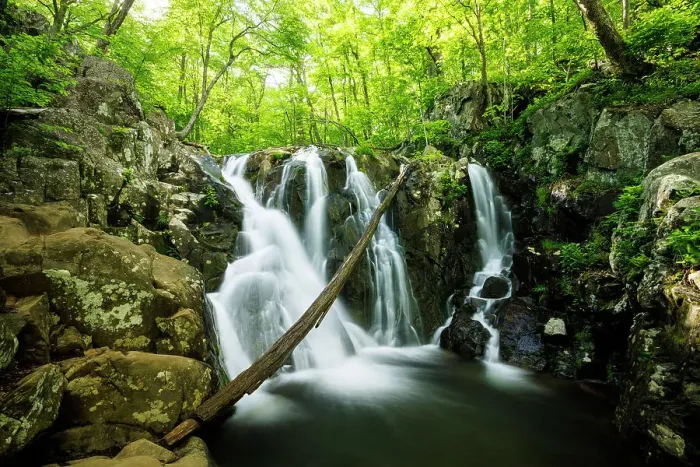 Framed Print : Rose River Falls, Shenandoah National Park, Virginia, USA Framed Print : Rose River Falls, Shenandoah National Park, Virginia, USA