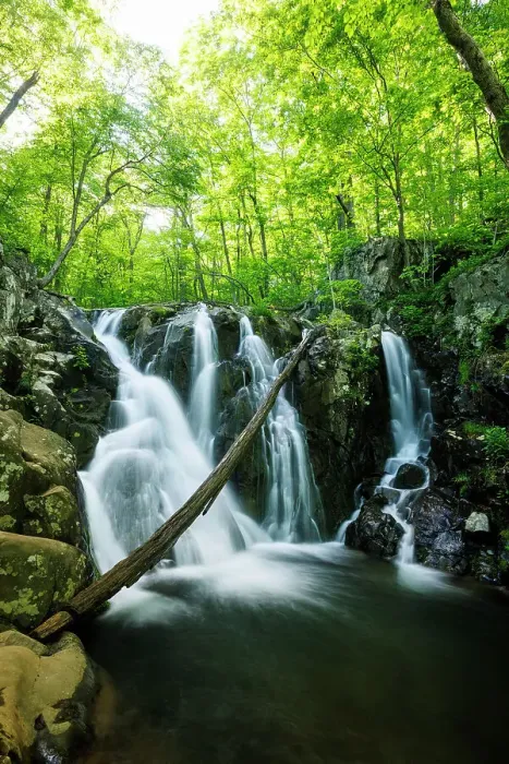 Framed Print : Rose River Falls, Shenandoah National Park, Virginia, USA Framed Print : Rose River Falls, Shenandoah National Park, Virginia, USA