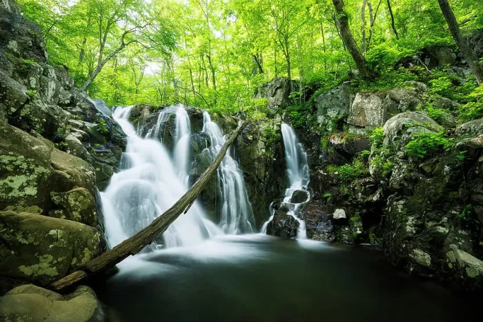 Framed Print : Rose River Falls, Shenandoah National Park, Virginia, USA Framed Print : Rose River Falls, Shenandoah National Park, Virginia, USA